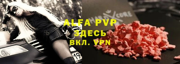 PSILOCYBIN Покачи