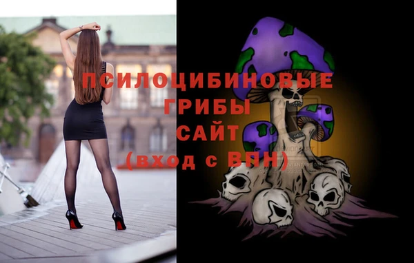 2c-b Протвино