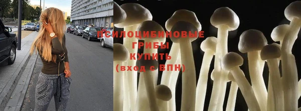 2c-b Протвино