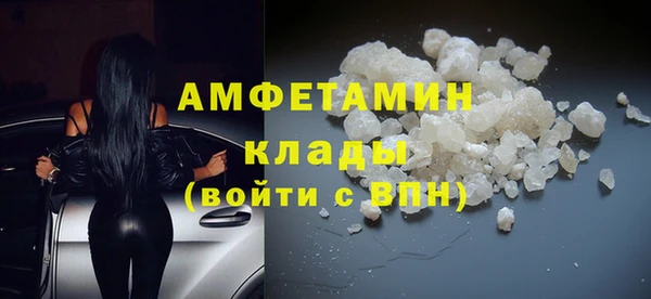 PSILOCYBIN Покачи