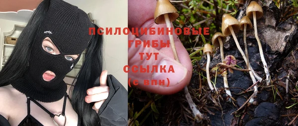 2c-b Протвино