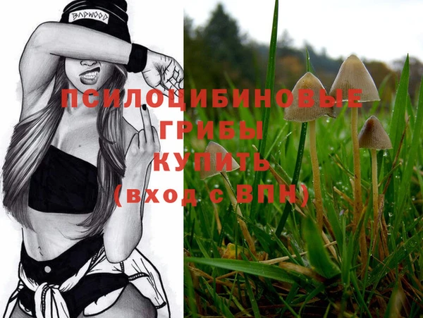 ешки Приозерск