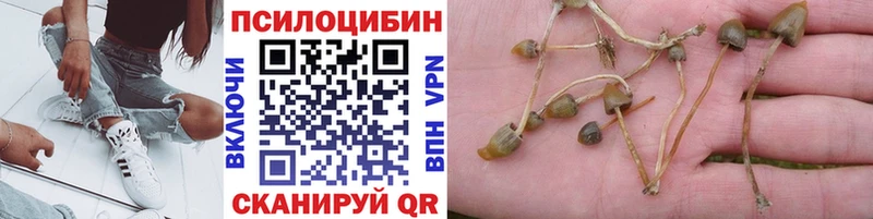 Галлюциногенные грибы ЛСД  Купить  Егорьевск 